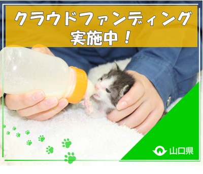 やまぐち犬猫支援プロジェクトの画像