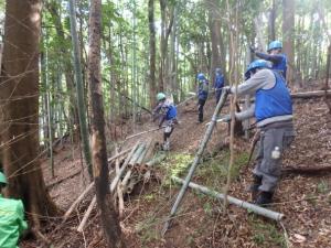 竹の伐採に取り組む参加者２