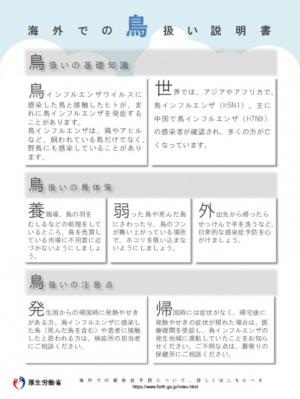 海外での鳥扱い説明書