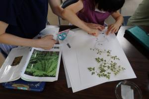 植物教室