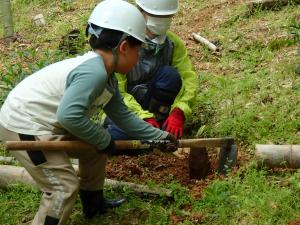 たけのこ掘りの様子