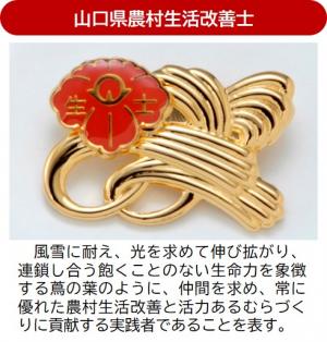 山口県農村生活改善士バッチ