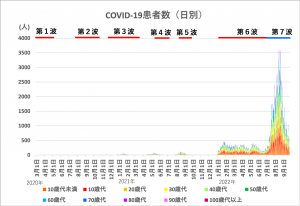 年齢階級別新規陽性者（1～7波）