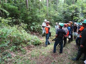 伐採列の選定方法の説明