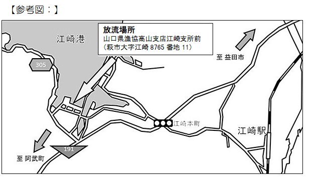 参考図：江崎漁港荷捌所