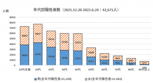 第6波_年齢性別