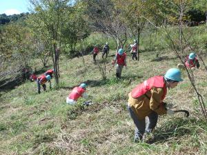 「ドコモ秋吉さくらの森」で下刈り作業