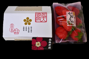 合格いちご（化粧箱セットイメージ）