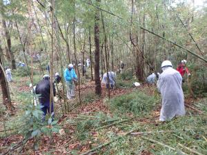 広葉樹の手入れ作業
