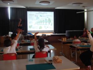 森のはたらきについての説明