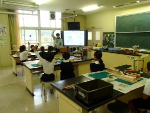 森のはたらきについての説明