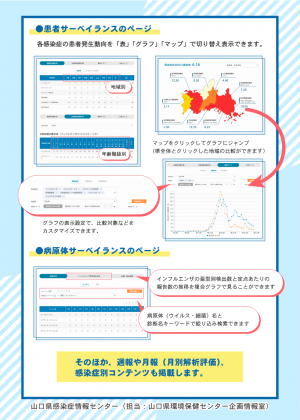 チラシ画像2