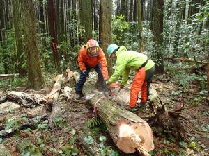 造材作業の実技