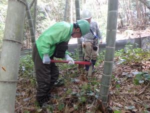 掘る技術を見て学ぶ