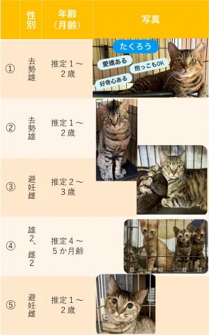 7-4-2-2　一覧表①