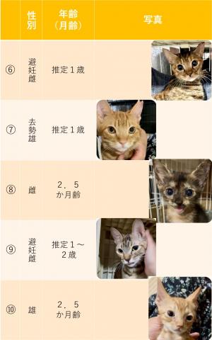 7-4-2-2　一覧表②