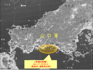 赤潮発生地域図