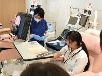 模擬献血の様子