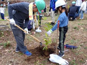 親子で協力して植樹作業