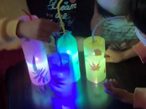 ランタン（植物）