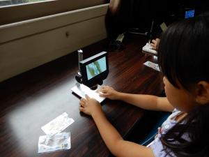 顕微鏡で葉や花を観察