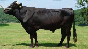 隆汐国　全体像