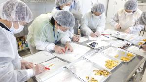 乾燥加工技術講座2