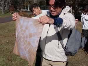 草木染の作品鑑賞