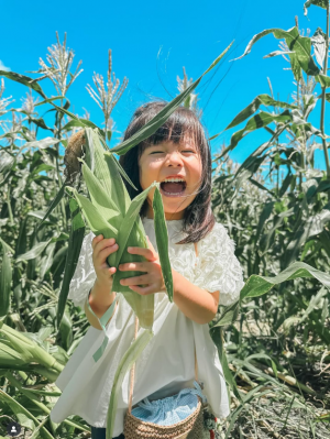 ママ！とうもろこし採れたよ！