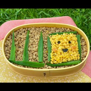 山口まんさいのお弁当​