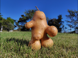 じゃがいもの妖精​