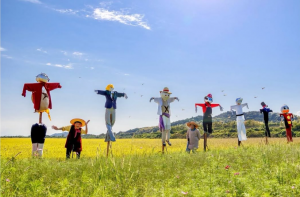 私も案山子​​​​​