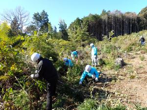 雑草木の刈り払い作業