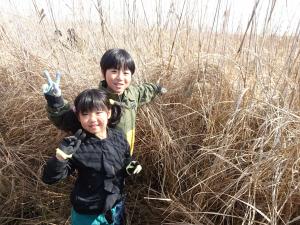 ヨシ原探検！！