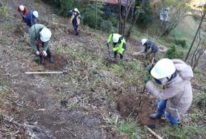 森林づくり活動