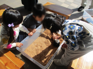 ふれあいモルモット