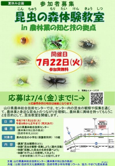 R7昆虫の森体験教室チラシ
