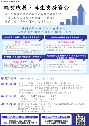 フライヤー