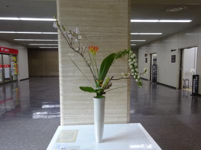 令和8年4月20日