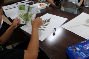植物標本をつくろう