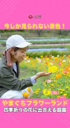 【サムネイル】【20周年】今、この絶景を見逃さないで!「やまぐちフラワーランド」!