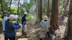 造林現場における業務体験