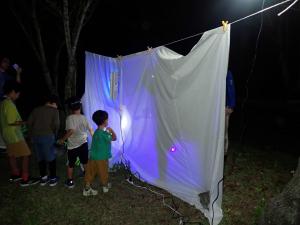 ライトトラップで夜の昆虫観察