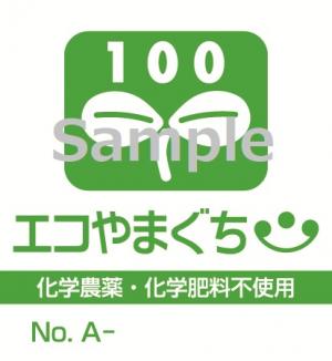 エコ100Aタイプ