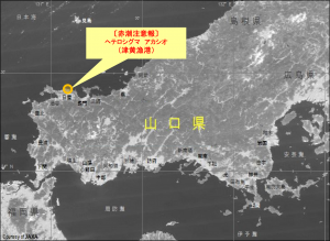令和8年5月29日赤潮発生状況