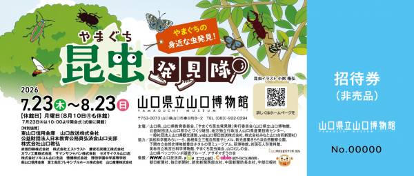 特別展「やまぐち昆虫発見隊」