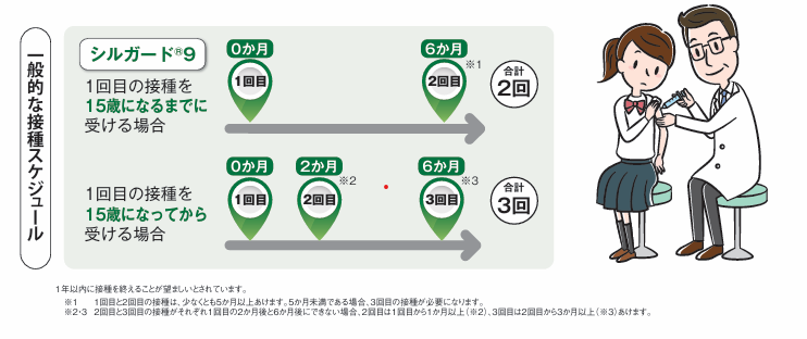 Hpvワクチン接種スケジュール(厚生労働省より)