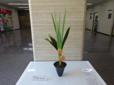 令和8年8月24日