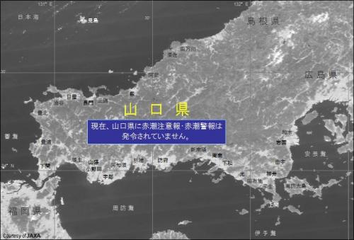 8月27日時点