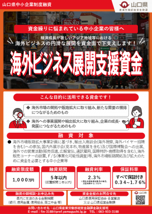 フライヤー